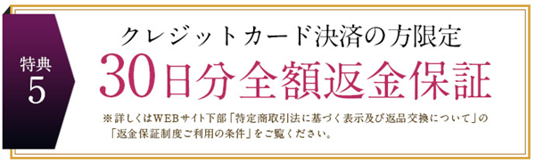 �V�}�{�V�̕ԋ��ۏ�