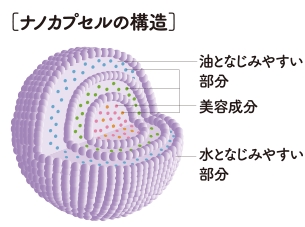 �V�}�{�V�̃i�m�J�v�Z��